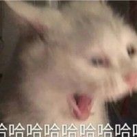 用戶頭像