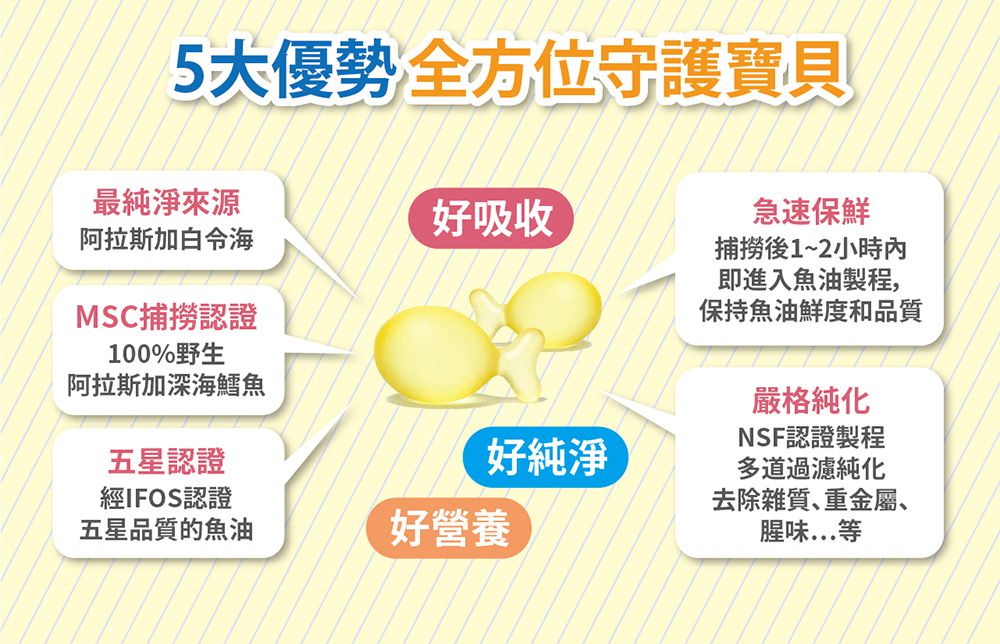 獨家優惠組【小兒利撒爾】乳鐵蛋白 富含鈣、DHA、益生菌配方