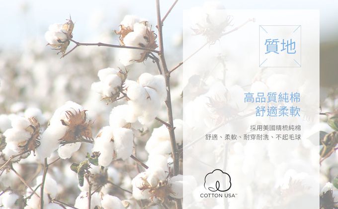 Annypepe - 兒童純棉橫紋薄長袖內衣-素色/條紋-白色 (110-160cm)