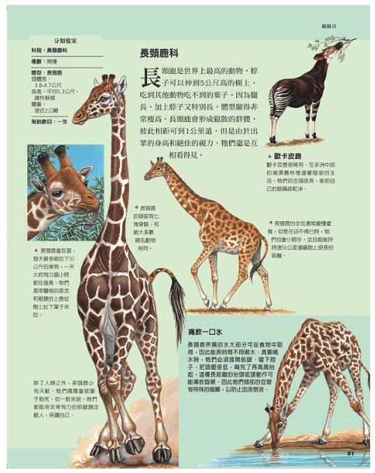 國家地理：哺乳動物圖鑑 (精裝 /93頁 /全彩印刷)