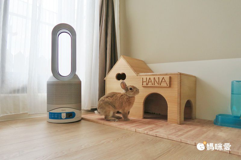 媽咪愛獨賣81折！Dyson 三合一涼暖空氣清淨機 HP03