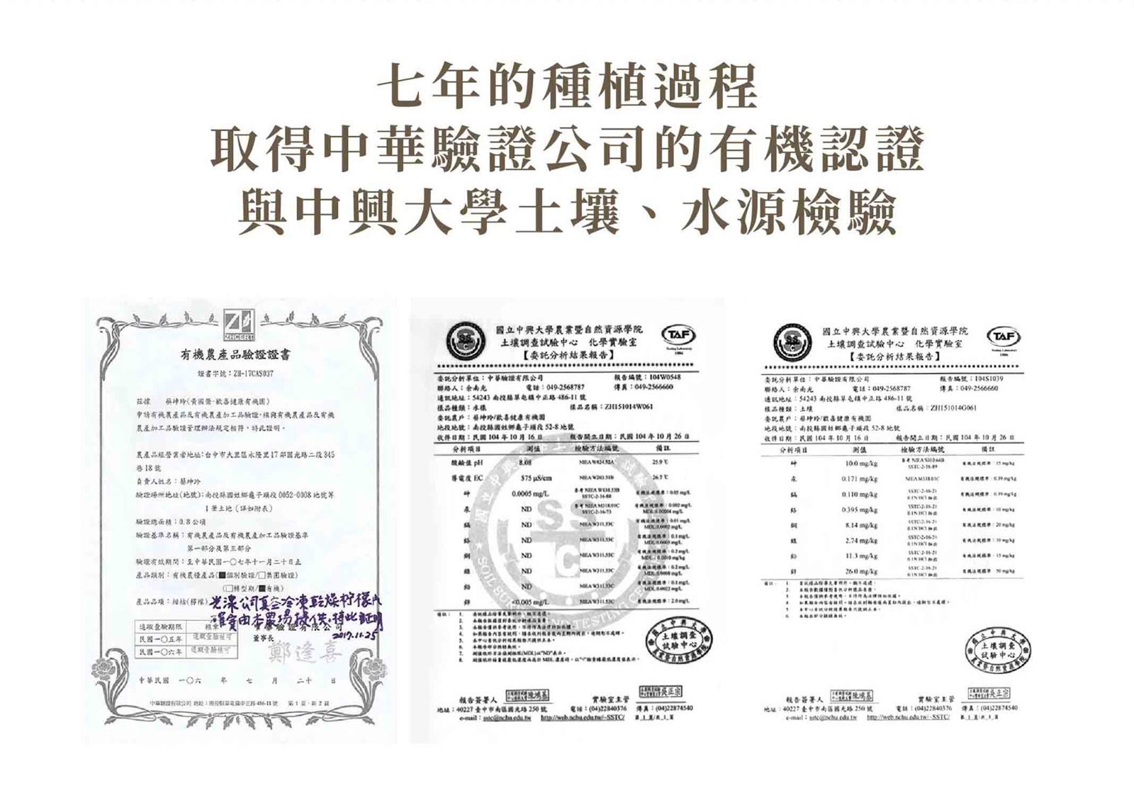 南投自然農法種植【憋氣檸檬】檸檬冰角/檸檬汁/檸檬片