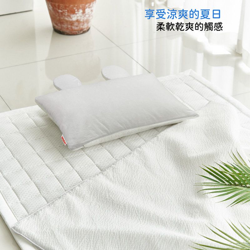 正韓Hello HiZoo - 3D Aqua Mesh 涼感兔耳造型抗菌防蟎雙面枕/涼感枕/護脊/護頸枕