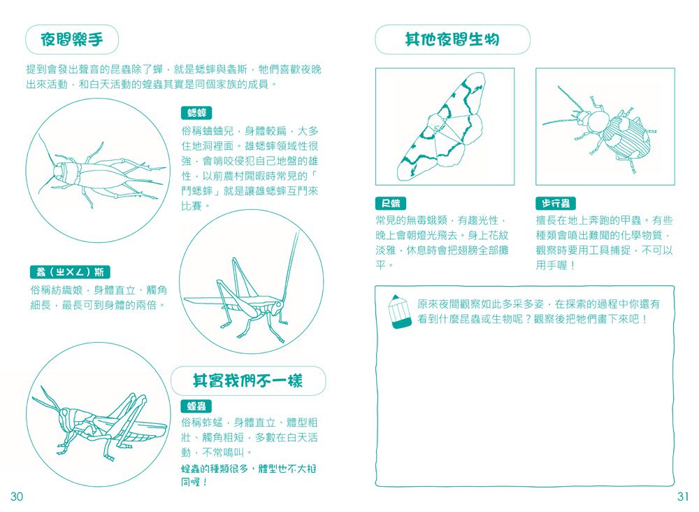 探索大自然：昆蟲捕捉觀察罐-內含1個捕捉觀察罐+1本昆蟲觀察遊戲書