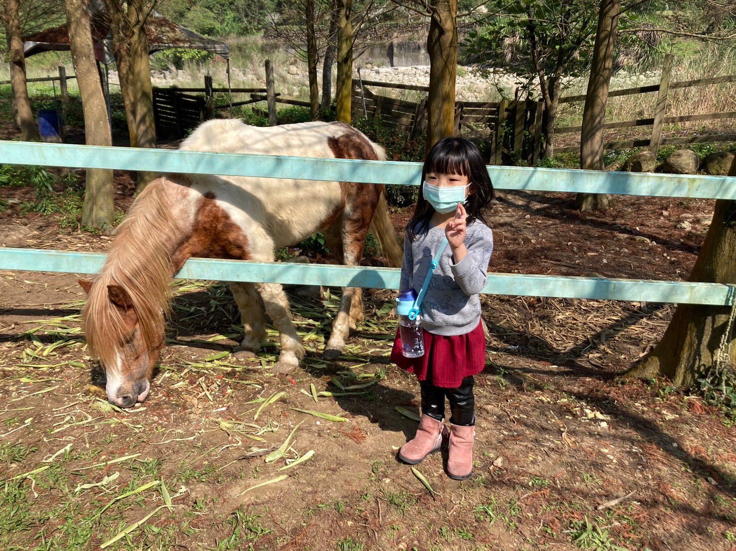 4.9折↘【名都觀光渡假大飯店】再送價值二千元「築夢森居」