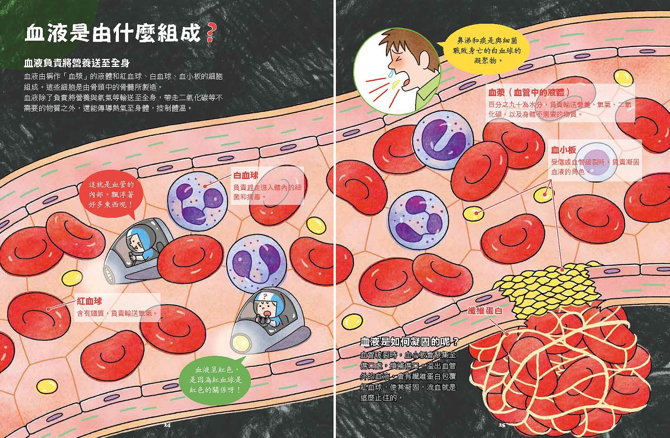 出發吧! 人體探險隊: 揭開身體消化道、泌尿系統、骨骼肌肉、心臟血管……不可思議的祕密 (新版)