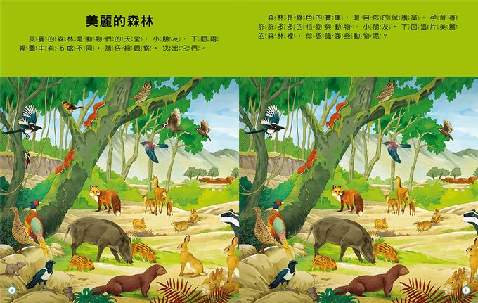 趣味找不同-專注力腦力神奇遊戲