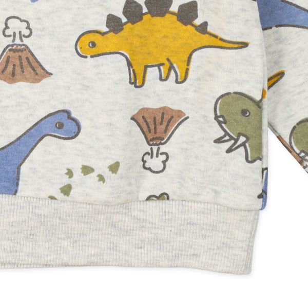 日本西松屋 - 刷毛圓領印花長袖上衣-可愛恐龍-米杏