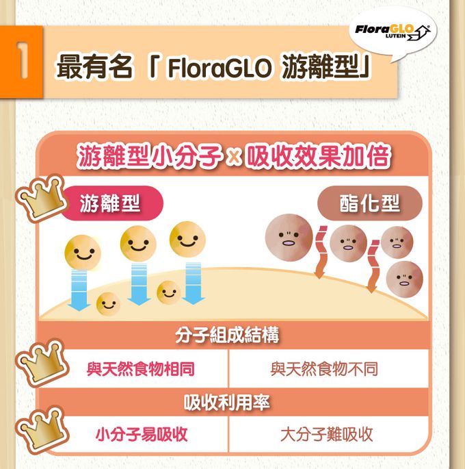 悠活原力 - 【媽咪愛限定】小悠活兒童葉黃素咀嚼錠(效期2023.10.04)-30入/盒*2 +(贈品)YOHO敏立清乳鐵蛋白益生菌-(5入/盒)