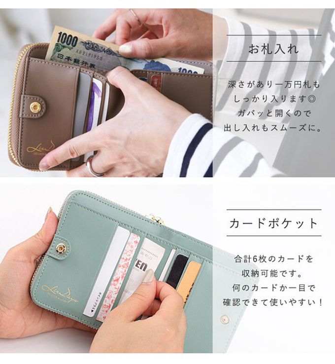 日本 LIZDAYS - 真皮16格摺疊短夾/零錢包-深棕 (11x9.5x3.5cm)