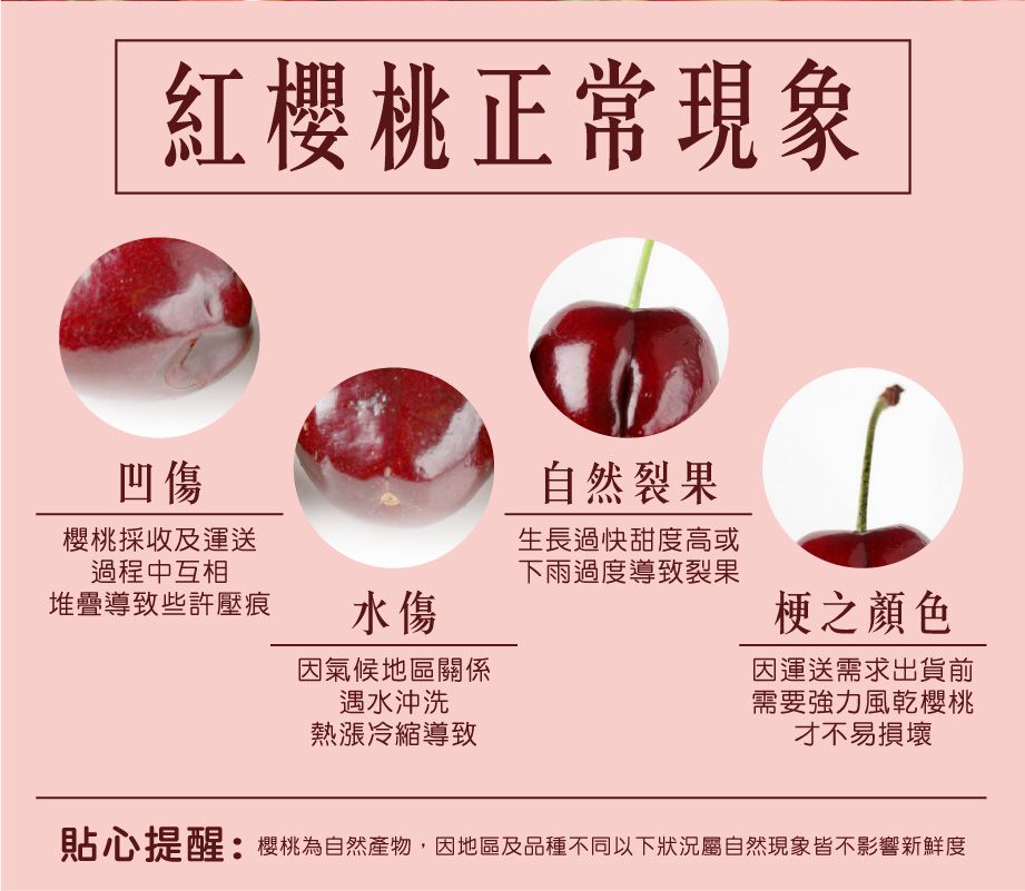 最低一盒不用$700！夏季限定！美國華盛頓直送 9ROW紅櫻桃