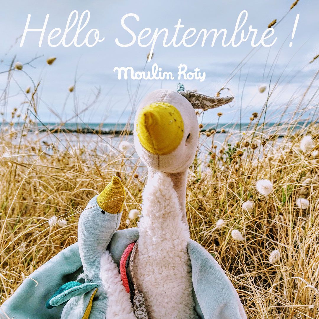 Moulin Roty - 海洋嬰兒搖搖鈴