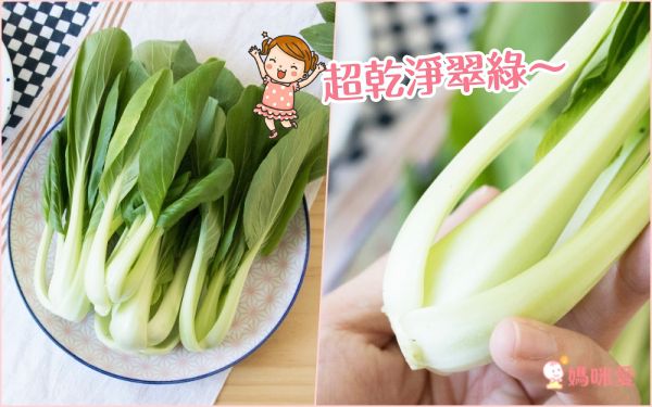 【鋐洲生技有機農場】有機蔬菜水果箱 / 有機芭樂