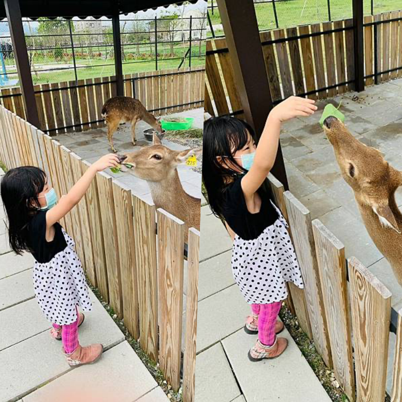 艾玹爾飯店集團 - 四館聯合通用-多愛溫泉會館/天使輕旅/艾玹爾溫泉商旅/天使星夢渡假村(需加價)-雙人平日住宿券含２客早餐-超值4張組-優惠活動使用無效期