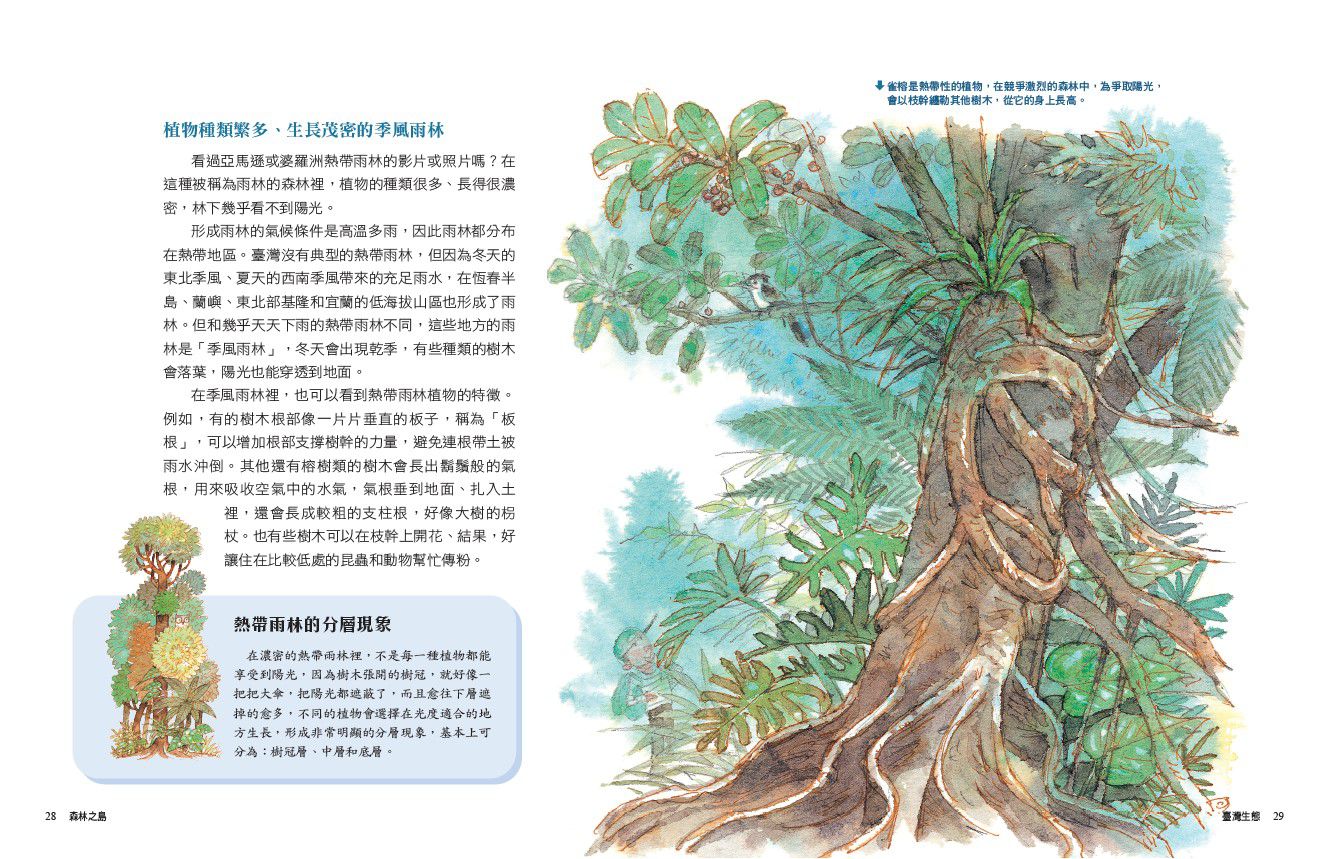 少年讀臺灣：臺灣生態