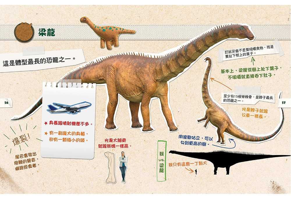 DINO DANA 小恐龍家的實地考察指南