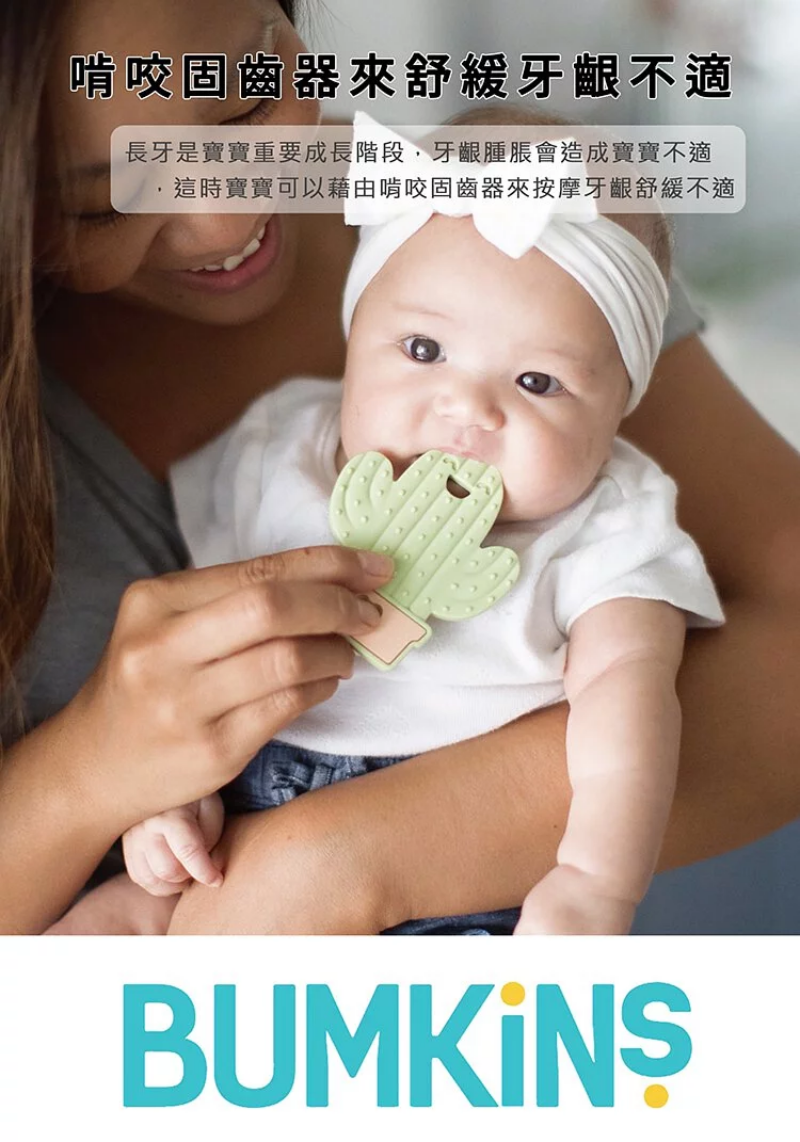 美國 Bumkins - 矽膠固齒器-仙人掌