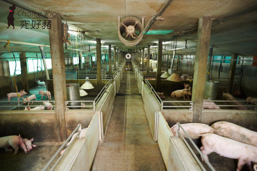 頂級餐廳指定使用【雲林 究好豬】教父牛排 饗饗 旭集選用