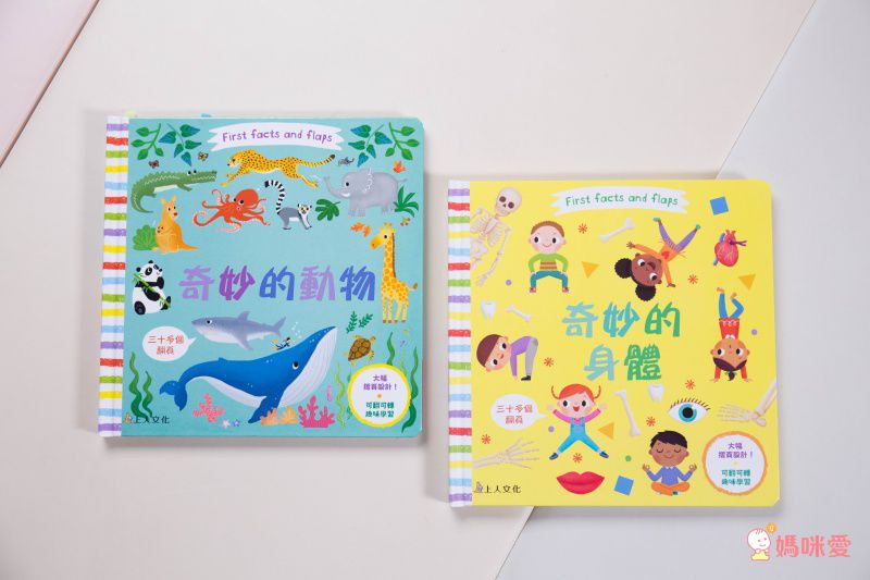 ★打造聰明好腦袋★益智翻翻小百科 / 童趣推拉轉操作書大集合！
