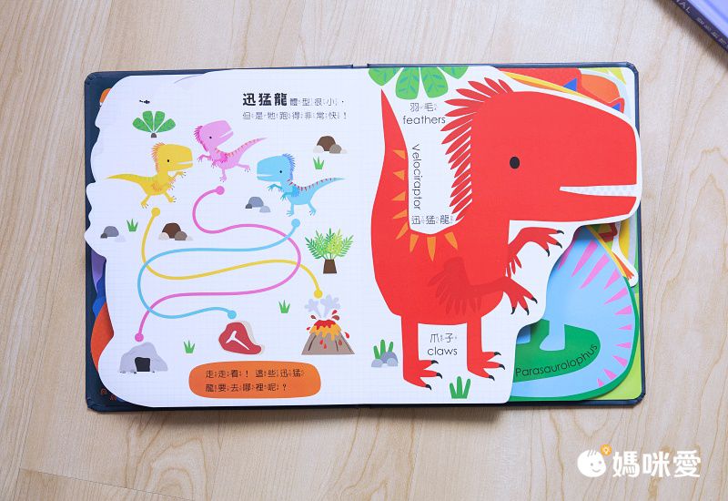 禾流文創 - Amazing!變形認知書 3本一套-變形恐龍認知書+變形動物認知書+變形魔法認知書