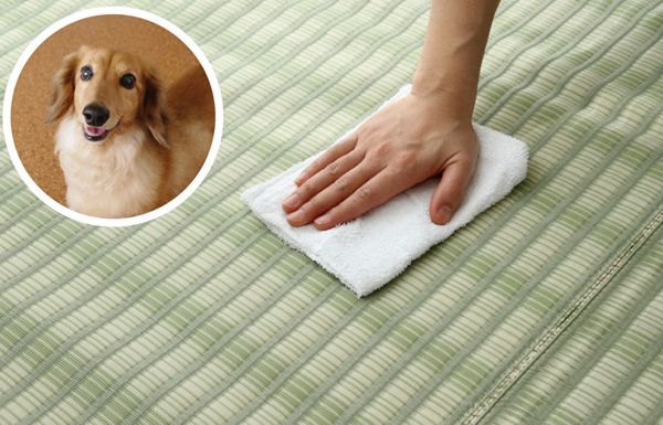 日本池彥 - 過敏協會認證 日本製防蟎蟲野餐墊 / 地毯(4-5人)-淺綠紋路 (174x174cm(江戸間2畳))