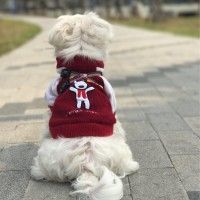 用戶頭像