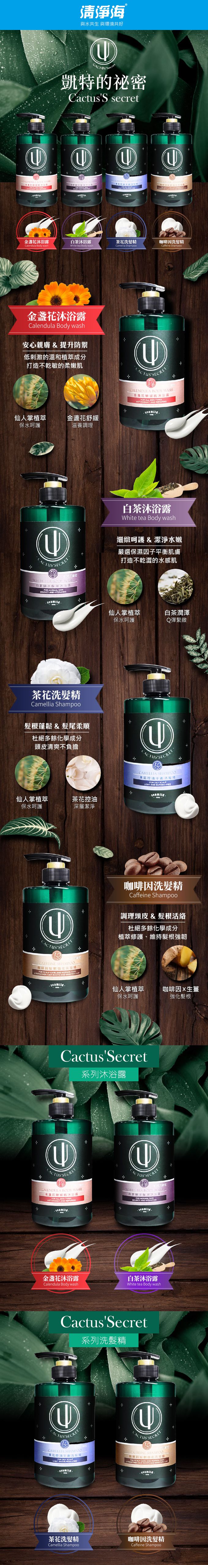 清淨海 - 凱特的秘密 咖啡因髮根強化洗髮精-超值3瓶組(730ml/瓶)