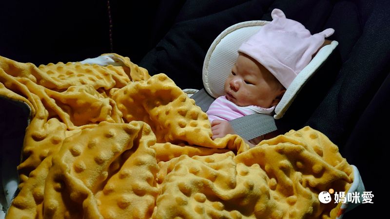 柔仕 - 舒眠豆毯 厚款-神秘赤狐