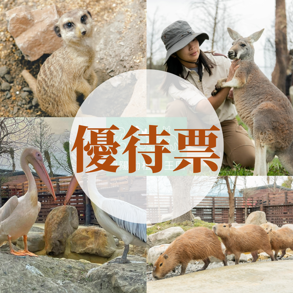 【優待票】兒童(3-11歲)/65歲以上/宜蘭縣民/身障人士及陪同人員-使用期限自購買日起180天(農曆春節不適用)