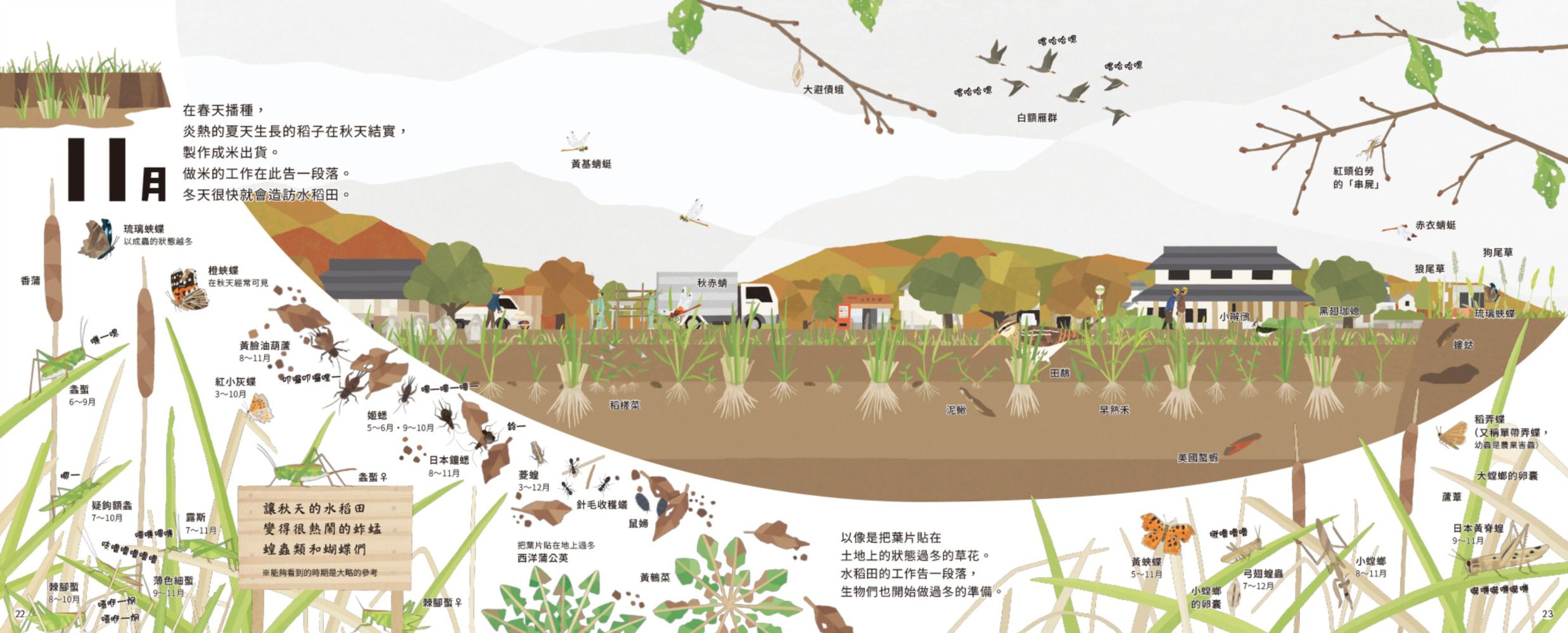里山的一年繪本1：水稻田的一年