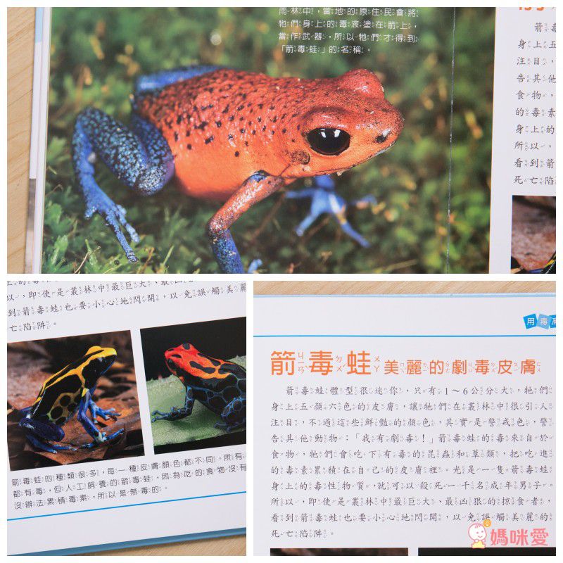 小牛頓【漫畫成語百科】語文＆科學一套搞定！看漫畫輕鬆學知識