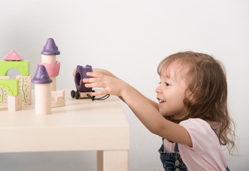 泰國 Plantoys - 夢幻童話木質積木組