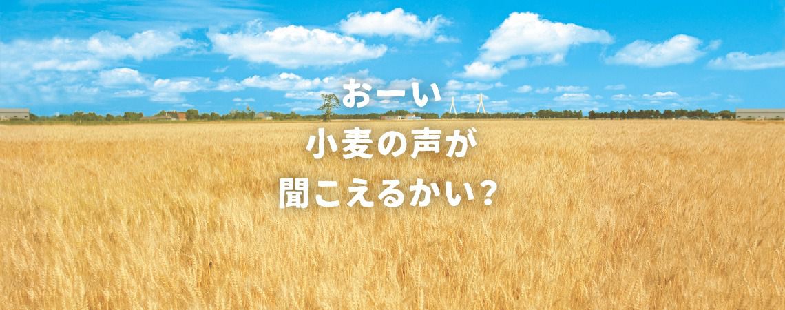 日本菊水 - 札幌寒干拉麵-味噌-123g