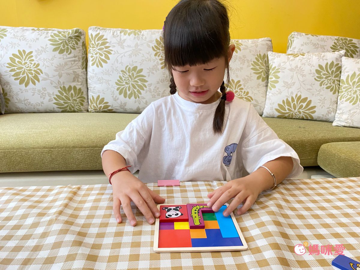 双美生活文創 - 5Q百變益智拼板：動物方塊-內附1組木製動物方塊+130題圍捕遊戲