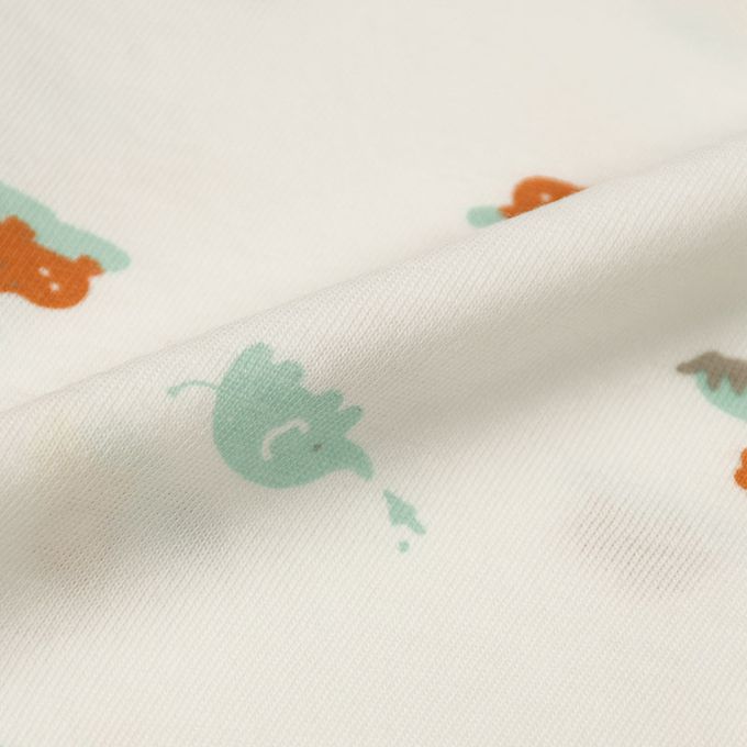 akachan honpo - 新生兒內衣4件組-象牙白色 (肚衣:50cm蝴蝶裝:50~60cm)