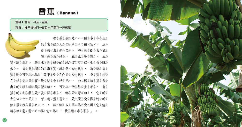 兒童百科：植物小百科-精裝