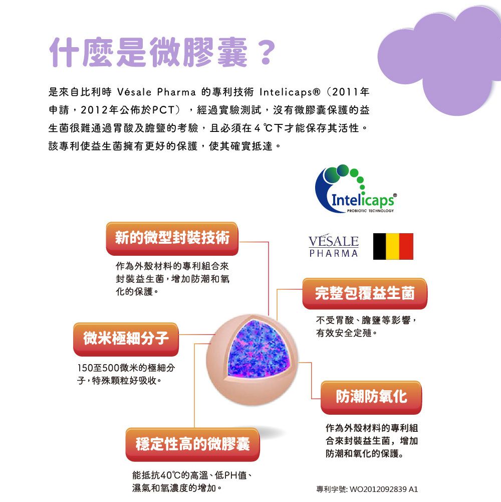 Lactobact® 德國萊德寶 - 【短效福利品】JUNIOR+ DROPS 萊德寶孩童配方錠狀益生菌(2-8歲孩童專用)-60顆/盒-效期2024.04.04