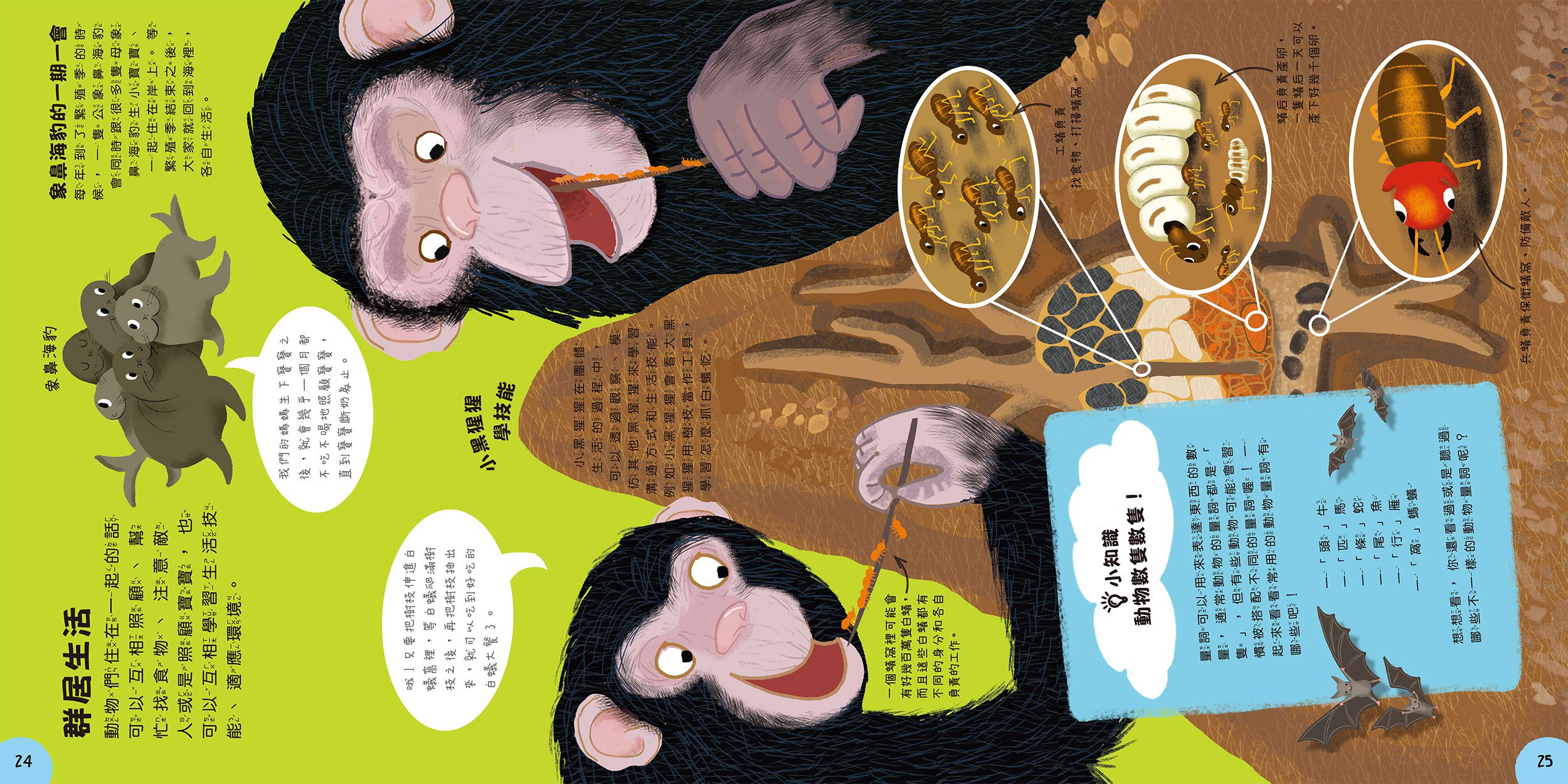 小小知識家的百科書套書10冊(書盒版)