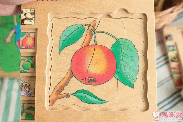 Beleduc 多層木拼圖：蘋果　