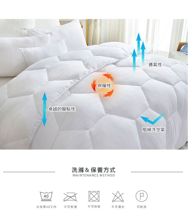 格蕾寢飾 Great Living - 義大利La Belle《抑菌可水洗羽絲絨暖冬被》-單人