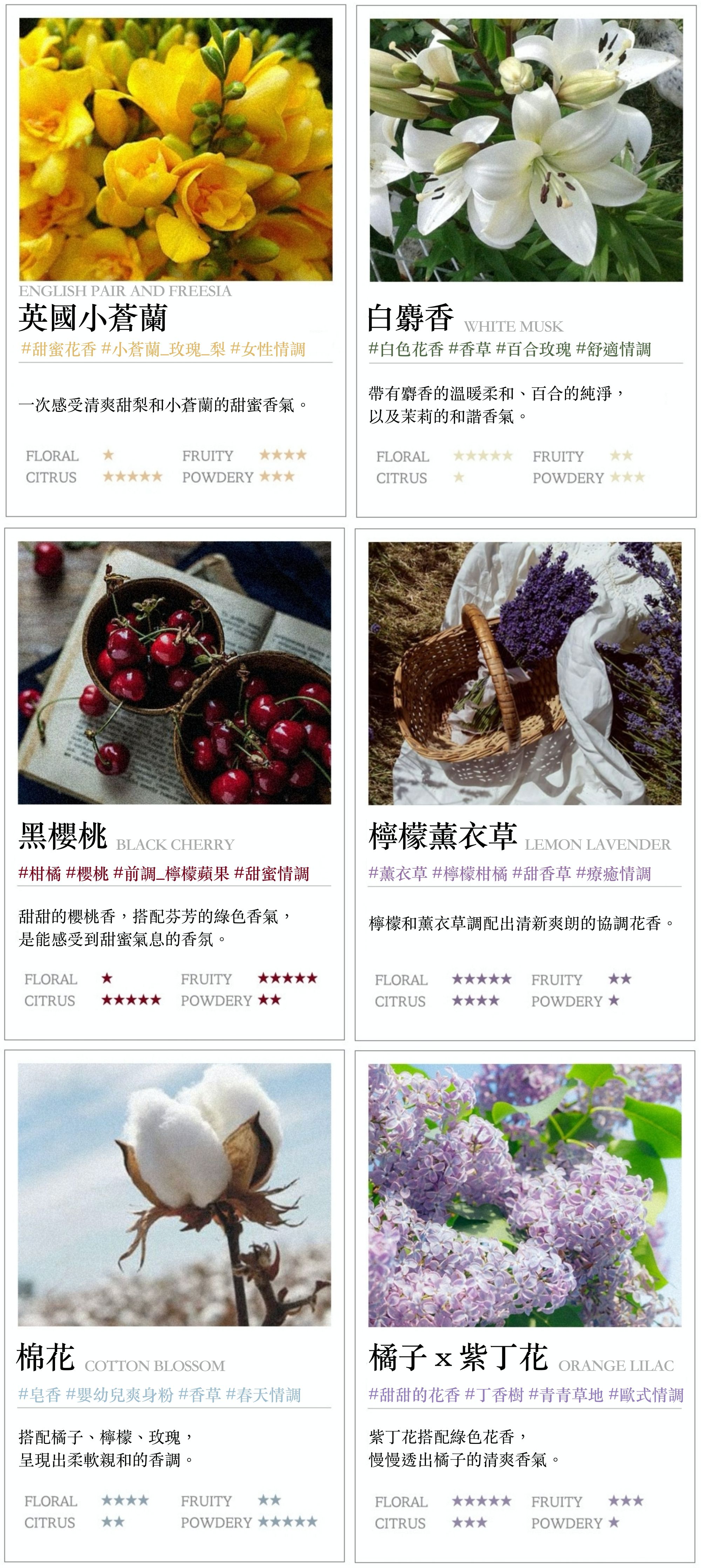 韓國 ASPASIA - 摩登人造花點綴擴香組-水滴玻璃瓶-裝飾容器+擴香100ml+擴香棒x10