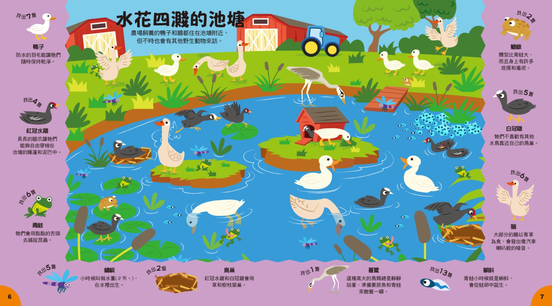 小偵探找一找-4：農場動物在哪裡？