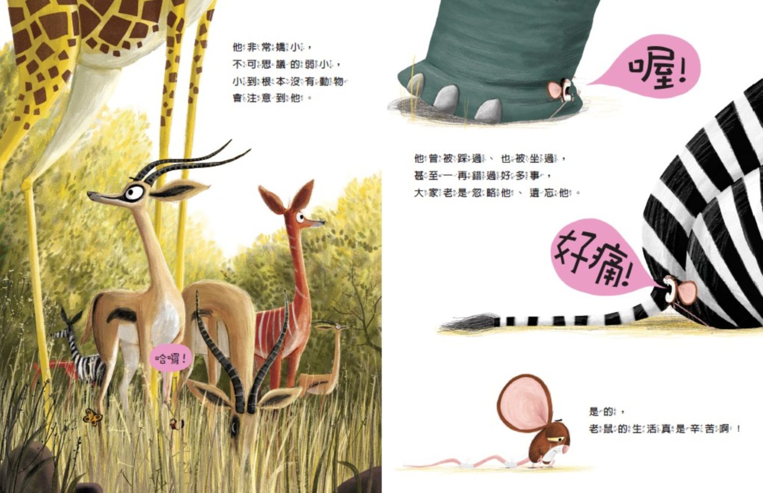 新動物寓言繪本系列套組(三本一套)