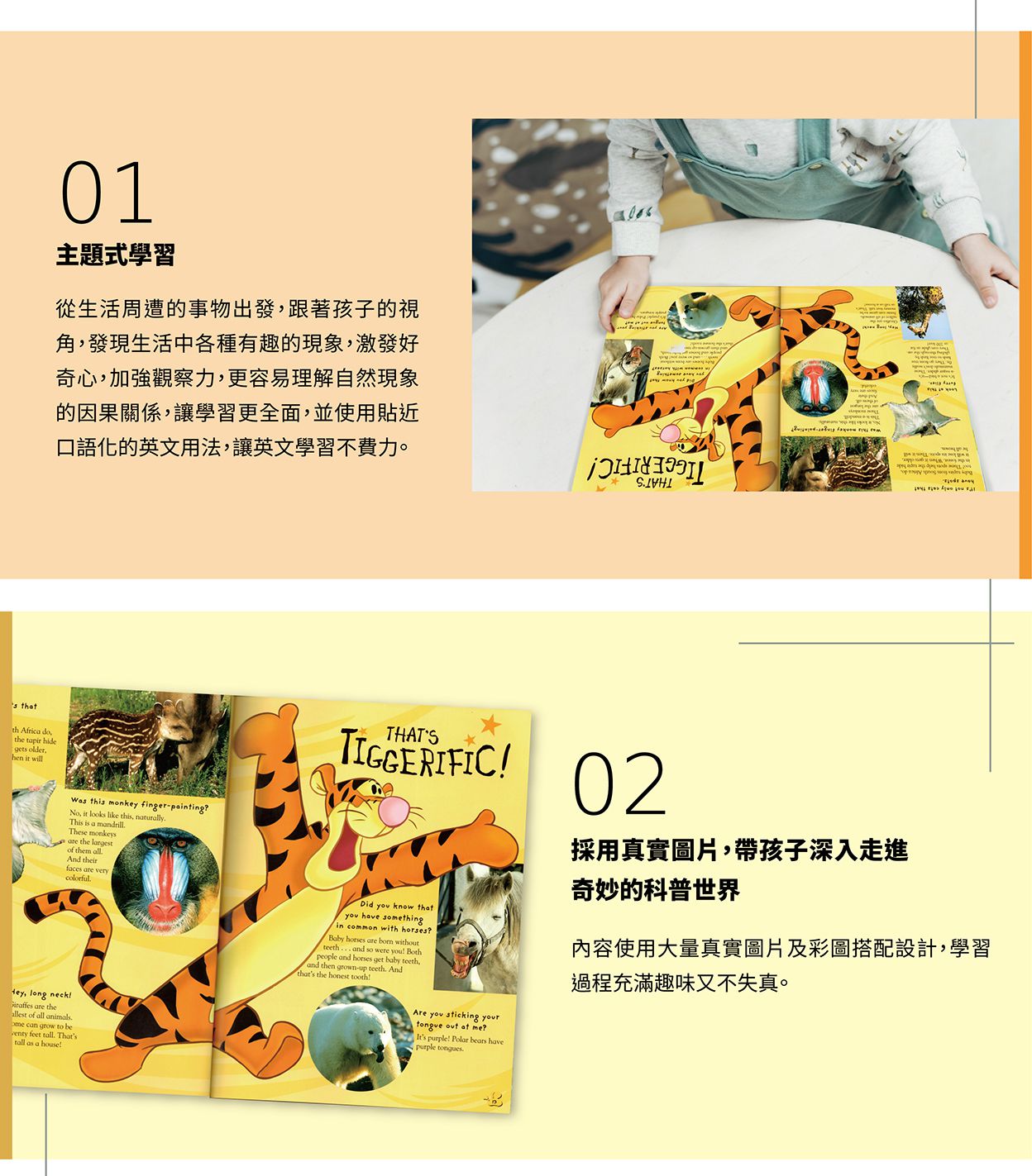 Disney 迪士尼 - 小熊維尼我的第一套英語百科有聲書 (30x25x8.5cm)