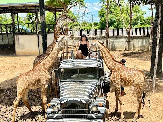 第一次帶小孩來大城動物園了！心得、評價