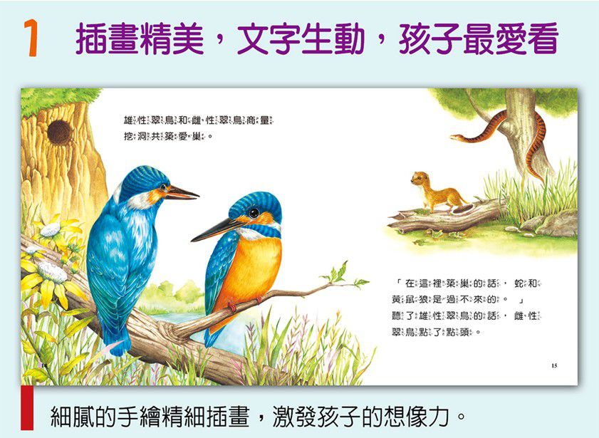 小牛頓科學教育有限公司 - 我家自然小百科-平裝-全彩 (17.3cm x 18.5cm)-60冊/2-6歲