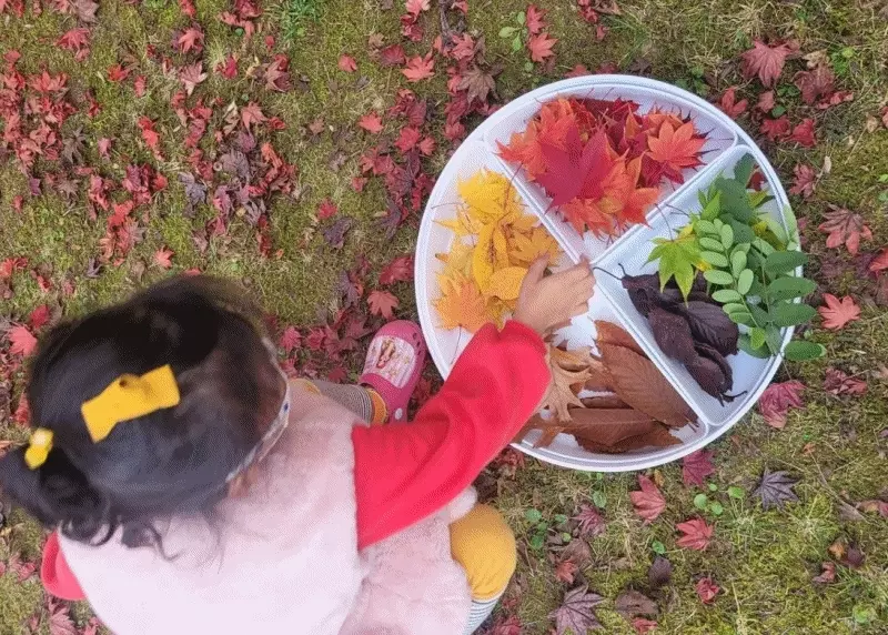 超激推5in1感官盆【韓國POKI趣玩盆】啟發創意力