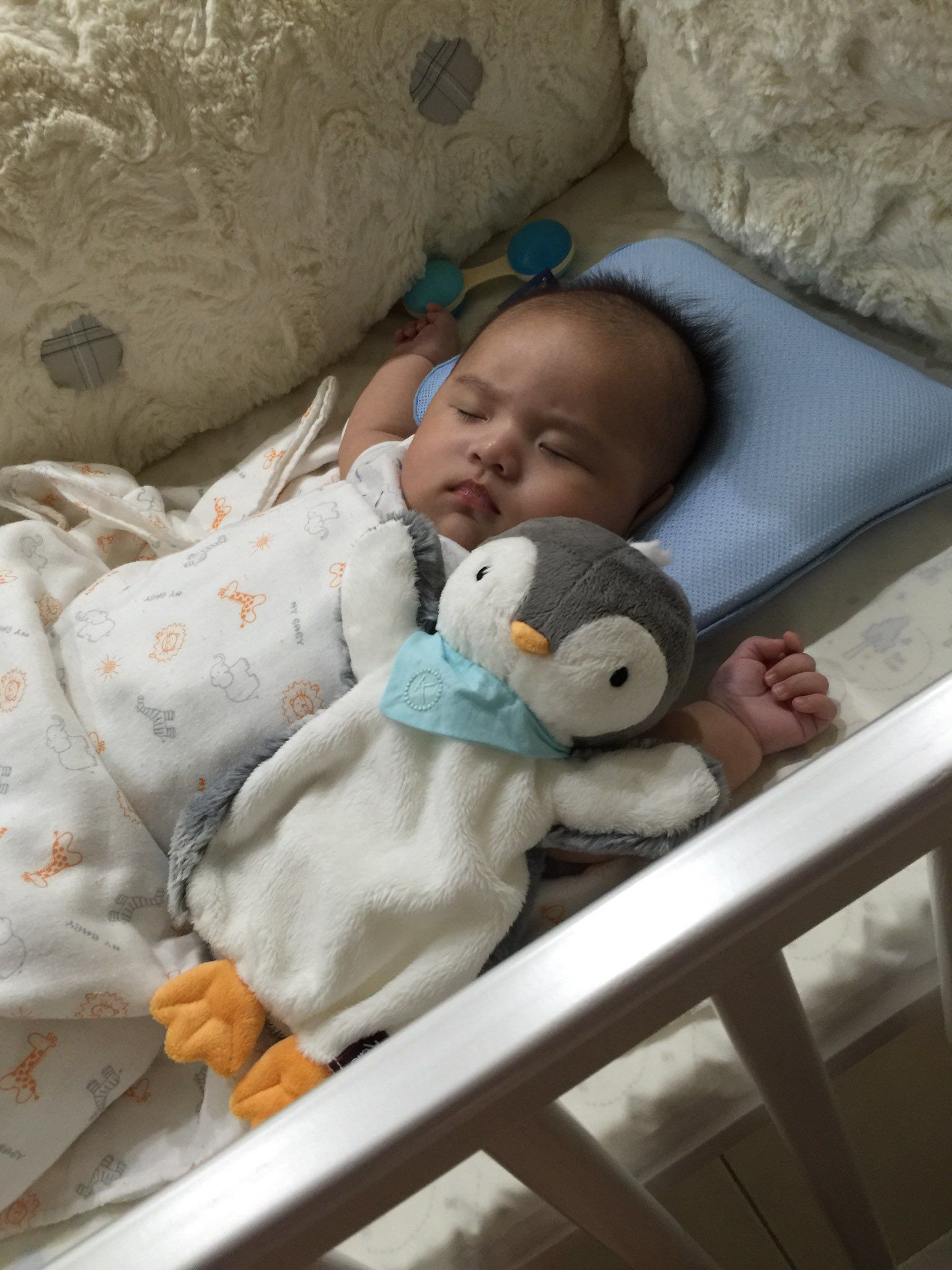 3個月扁頭還有救嗎？