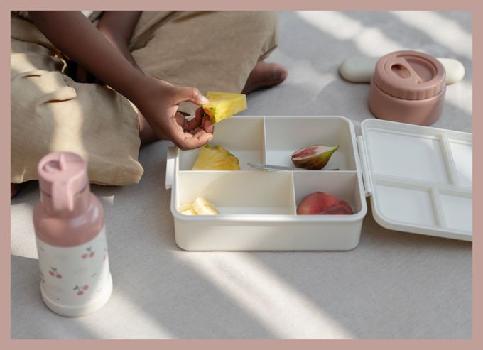 Citron - 餐盒三件組_恐龍世界