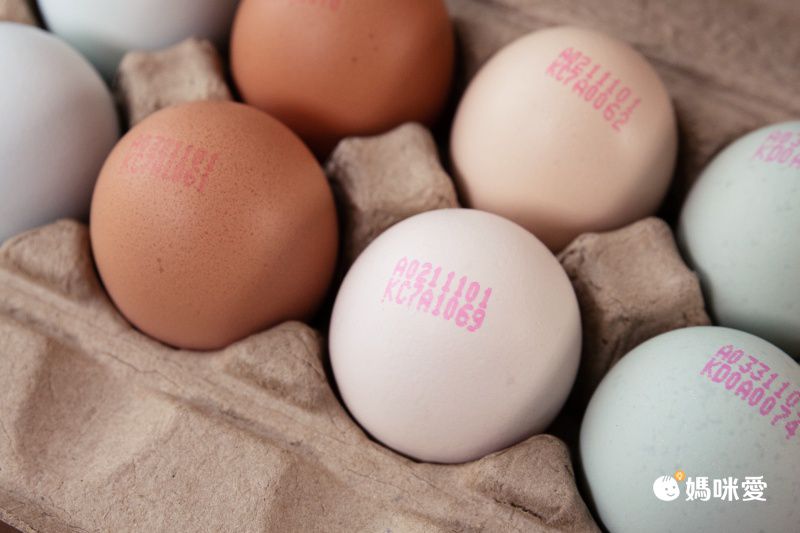 傻蛋-友善放牧蛋 - 紅羽土雞蛋-1箱/40顆